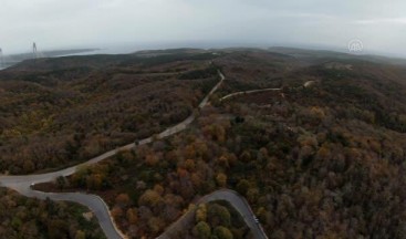 Beykoz Ormanları’ndaki sonbahar renkleri dron ile görüntülendi